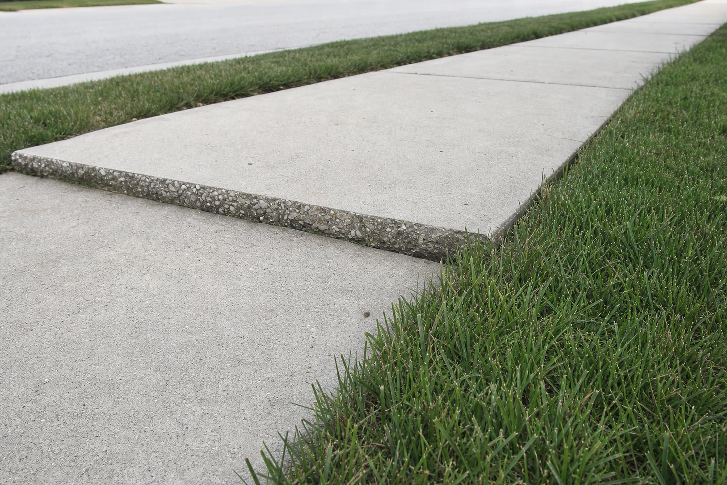 A sidewalk slab raised into a trip-hazard lip at the joint
